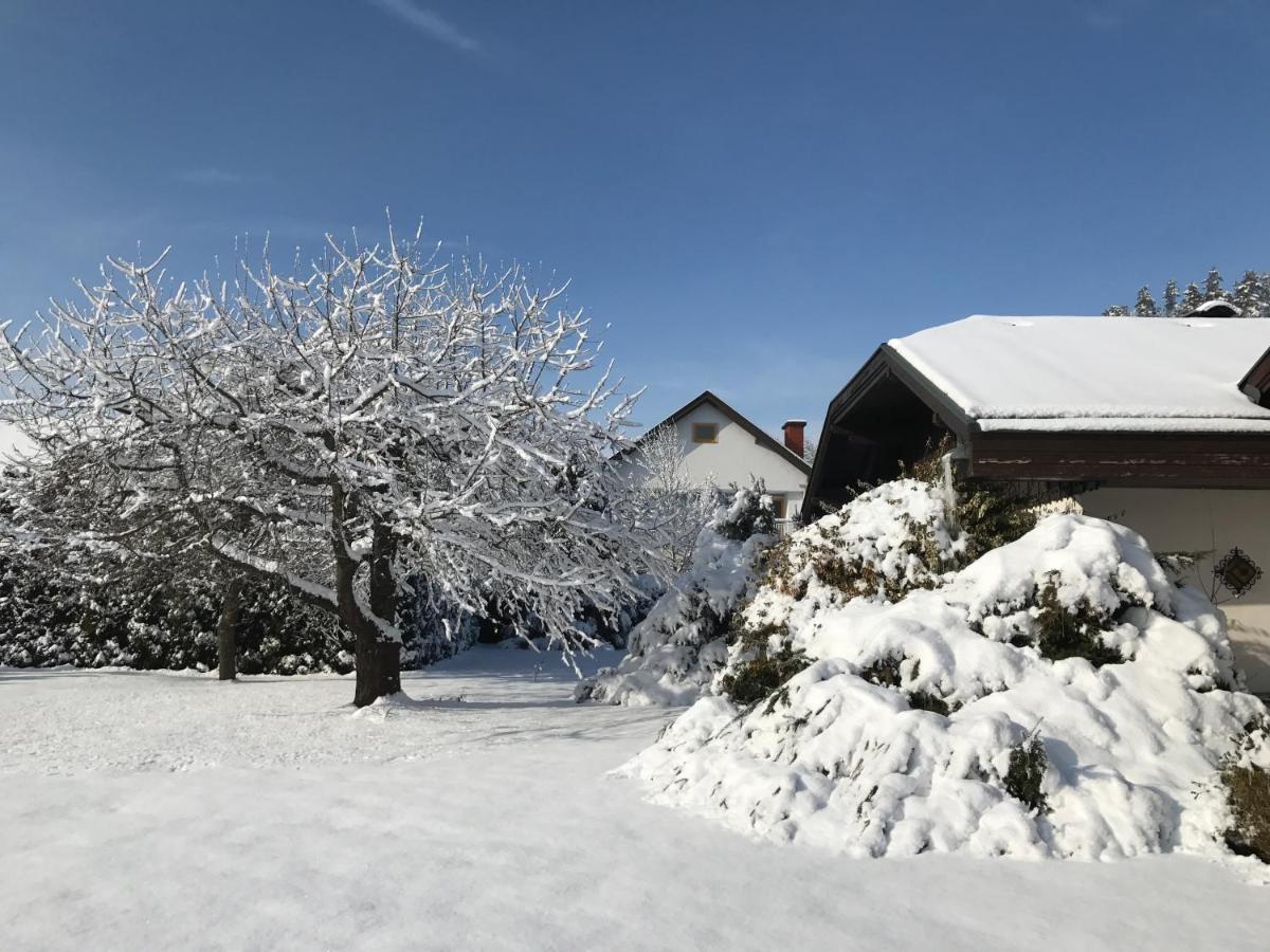 Вилла V Gemuetliches Gartenhaus Sankt Michael ob Bleiburg Экстерьер фото